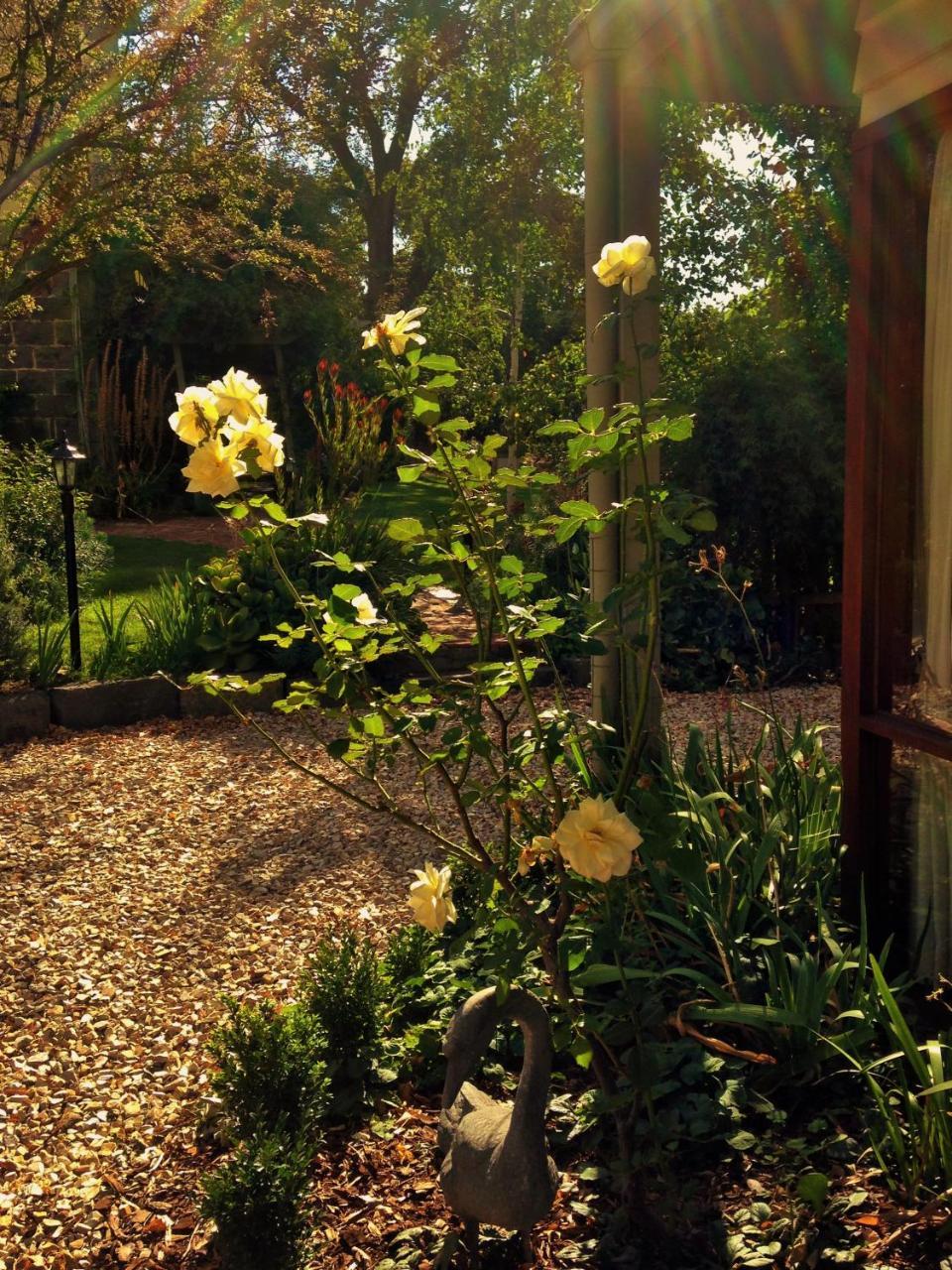 Bindley House B&B Cottage Kilmore Eksteriør billede